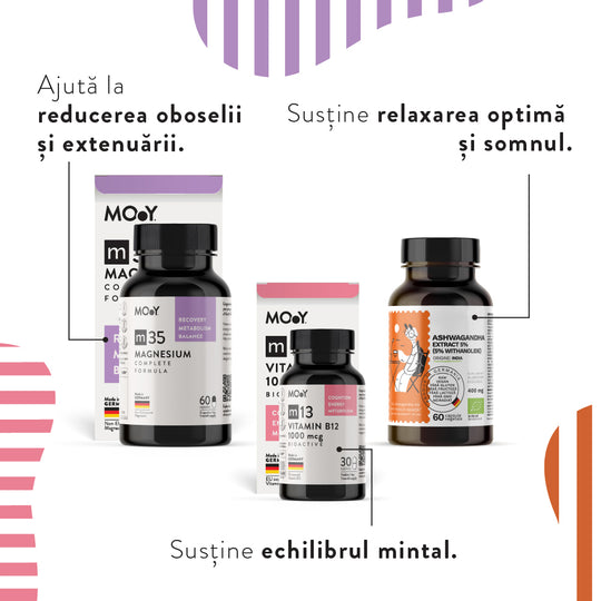 INNER ZEN, pachet promotional (Ashwagandha + m13 Bioactive B12 + m35 Complete Magnesium), NATURAL, VEGAN, 94.7 g